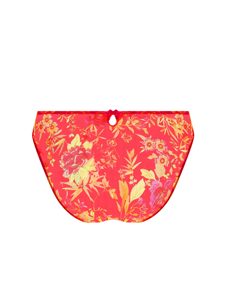 EPRISE DE LISE CHARMEL FRISSON DENTELLE SLIP FANTAISIE NACRE