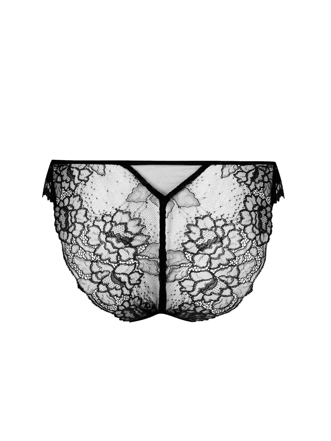【LISE CHARMEL】新作★SUBLIME EN DENTELLE★Slip seduction Slip Seduction SUBLIME EN DENTELLE Noir LISE CHARMEL ACH0713